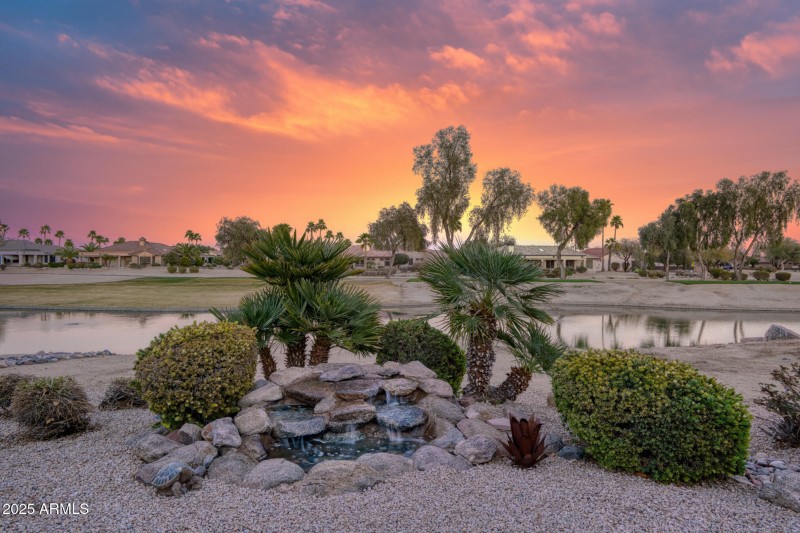 BackyardDesertLandscape