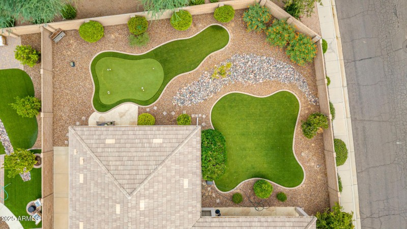 52 - Salt Cedar Aerials