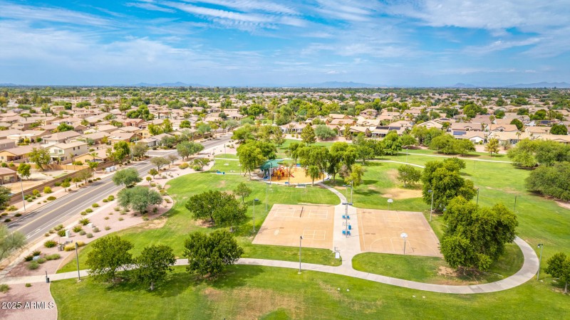 63 - Salt Cedar Aerials