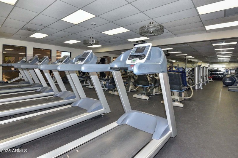 The Vista-Fitness Center