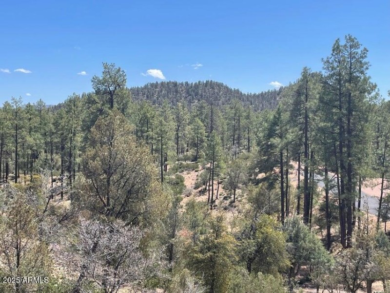 20220411194510057232000000-o