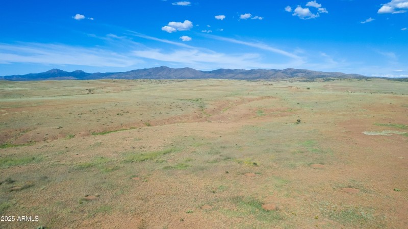 View out of Back Yard