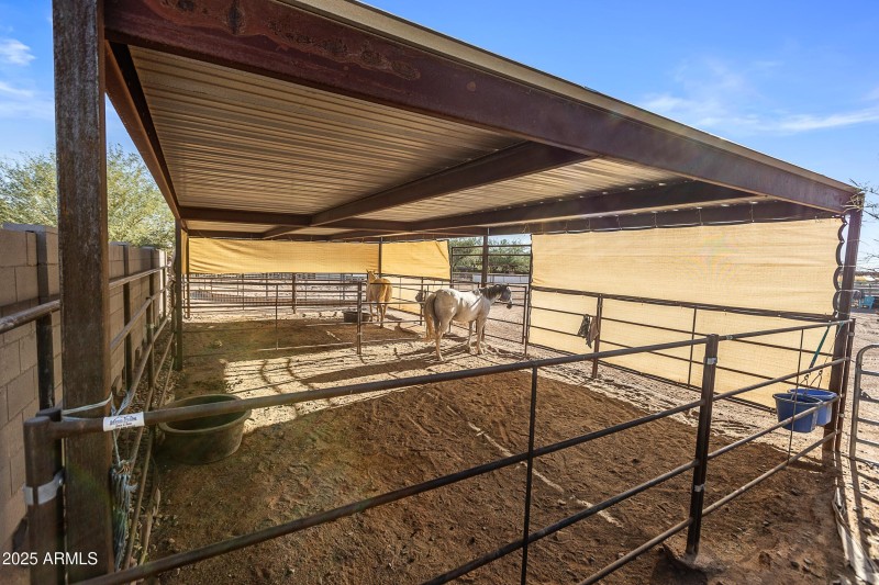 Covered and Shaded Stalls