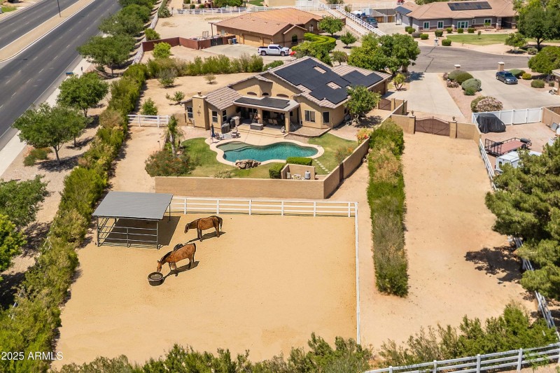 You could have horses