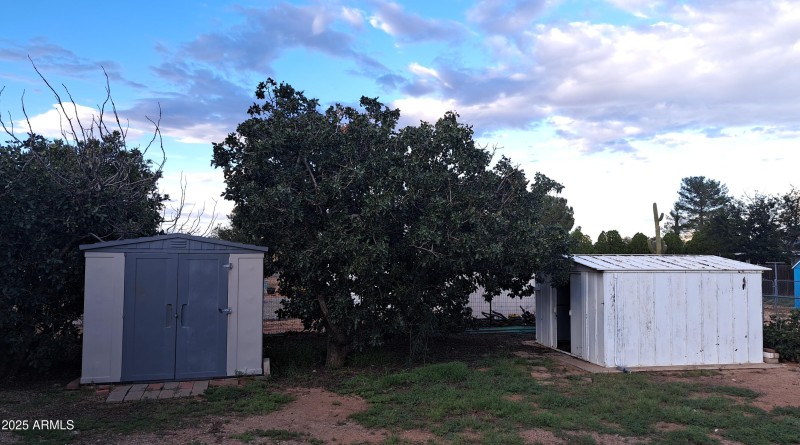 Pistachio Trees and storage