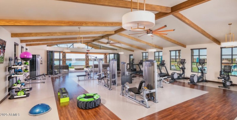 Screen Shot 2025-09-19 at 1.55.38 AM