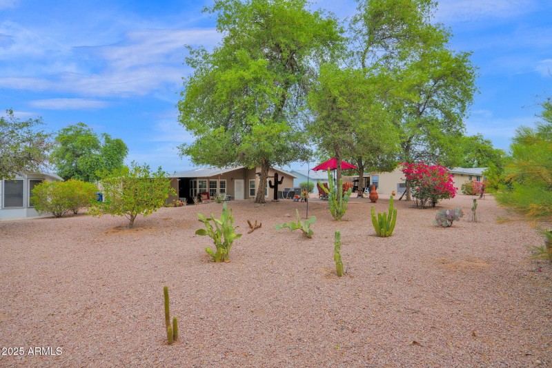 South Side Of Backyard