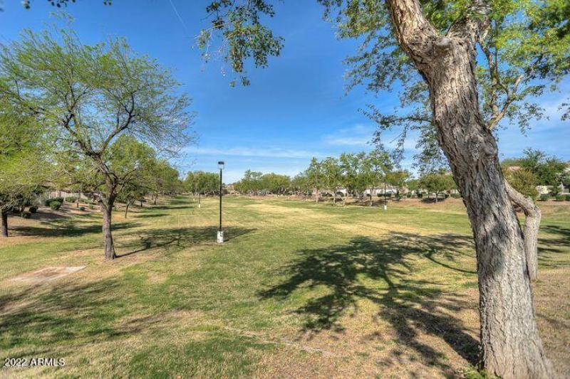 20160324003411180981000000-o