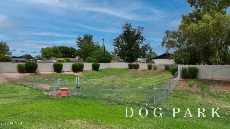 Spacious, grassy dog park.