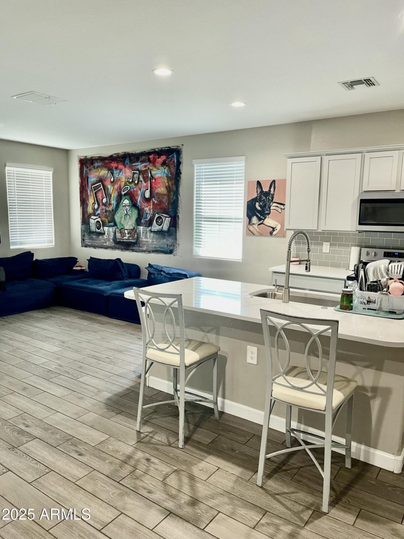 Kitchen & Living Room Area