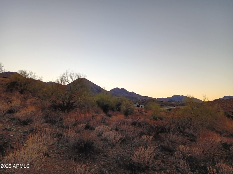 McDowell Mountains