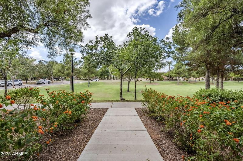 large-019963ae-adc4-72b2-b4e7-0669b92aed