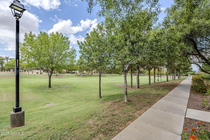 large-019963ae-ad18-7015-8025-5635c1dd3e