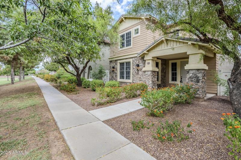 large-019963ae-ac62-710e-9aa8-409107f6e9