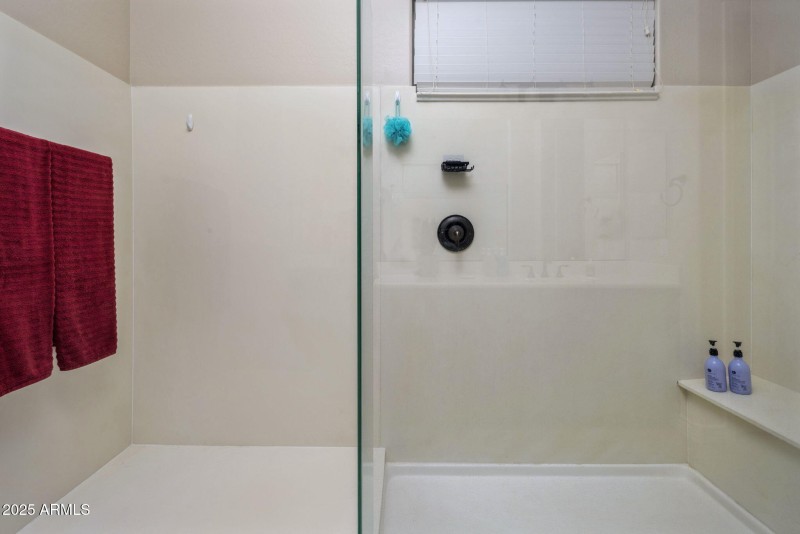 Upgraded Large Shower