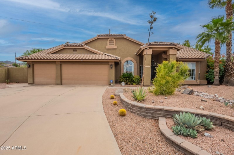 4-web-or-mls-Tasman-4