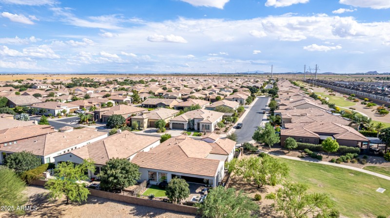 0015-15 - Orange Blossom 106