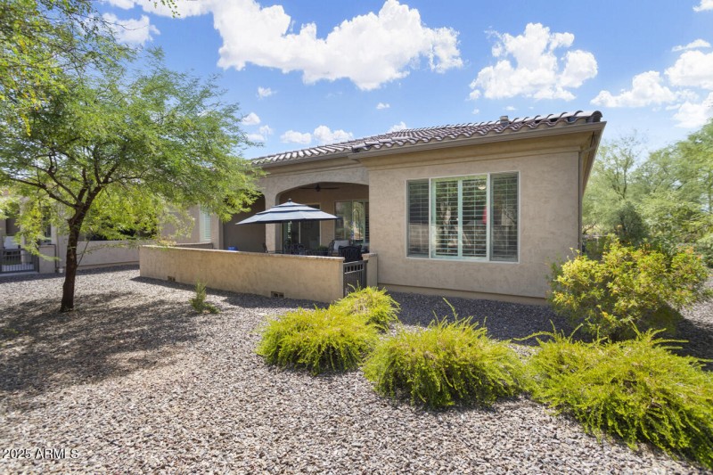 Mature landscapin providing privacy