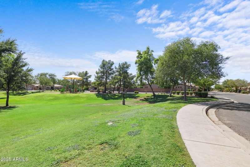 Arden Park Green Space