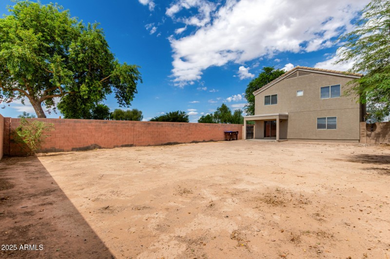 Large Backyard - Lush
