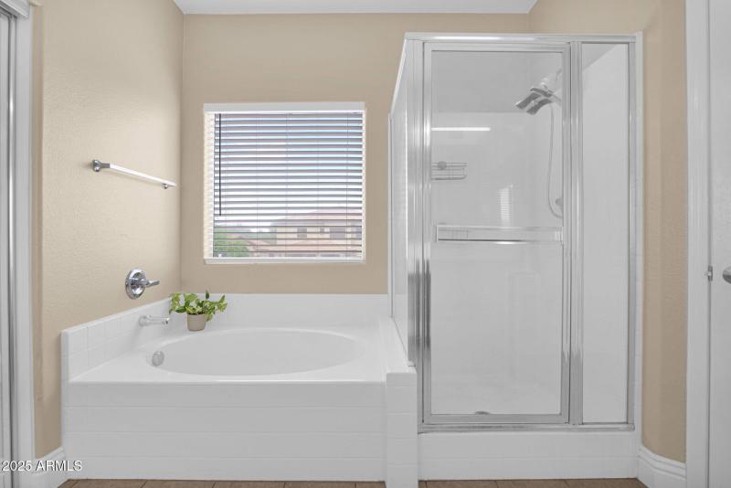 Primary Shower/Tub