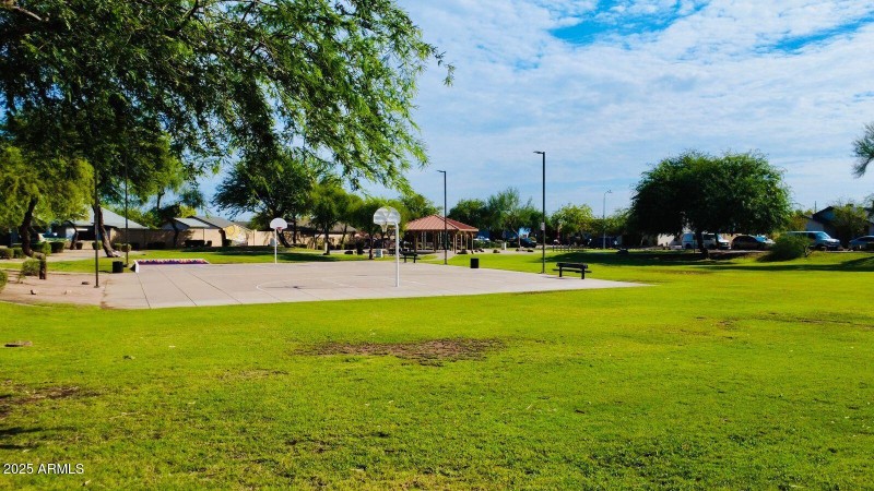 basket ball at the park