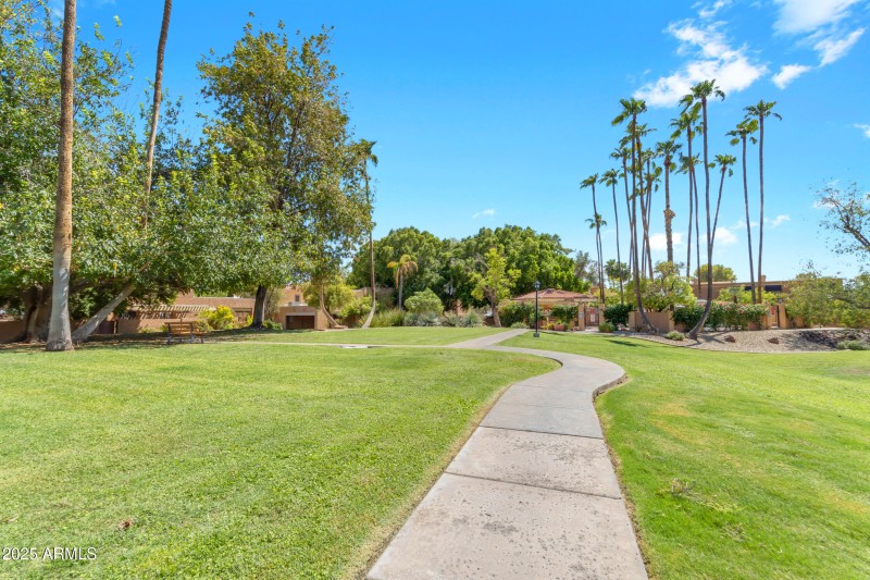 Clean & Green Community!