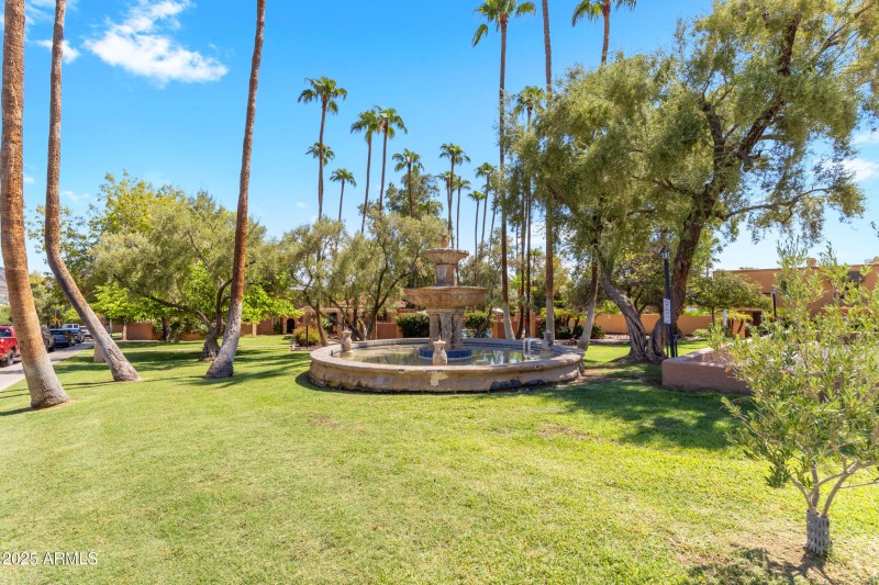 Clean & Green Community!