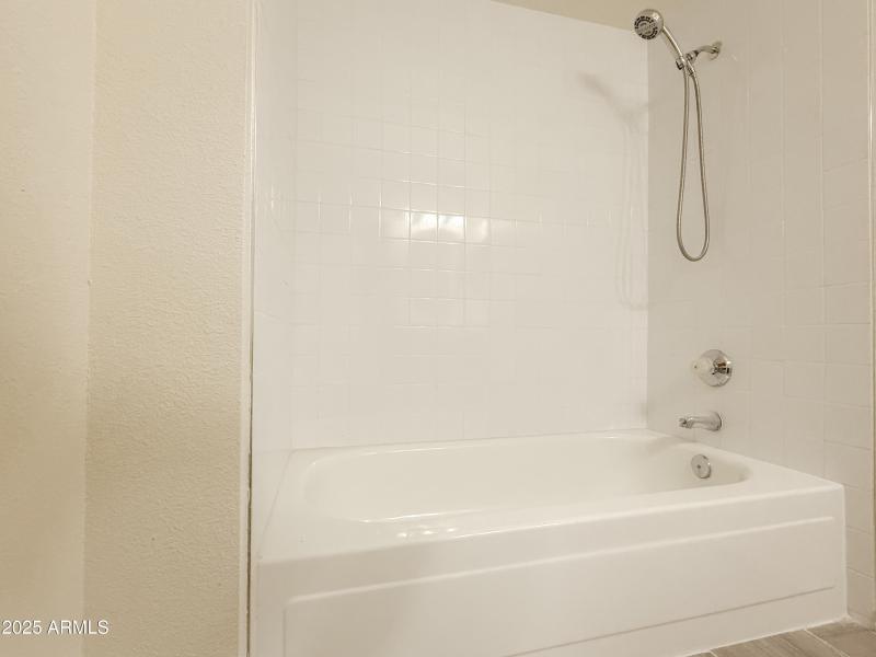 Downstairs Shower/Tub