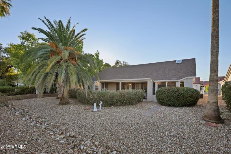 Desert landscaped back yard