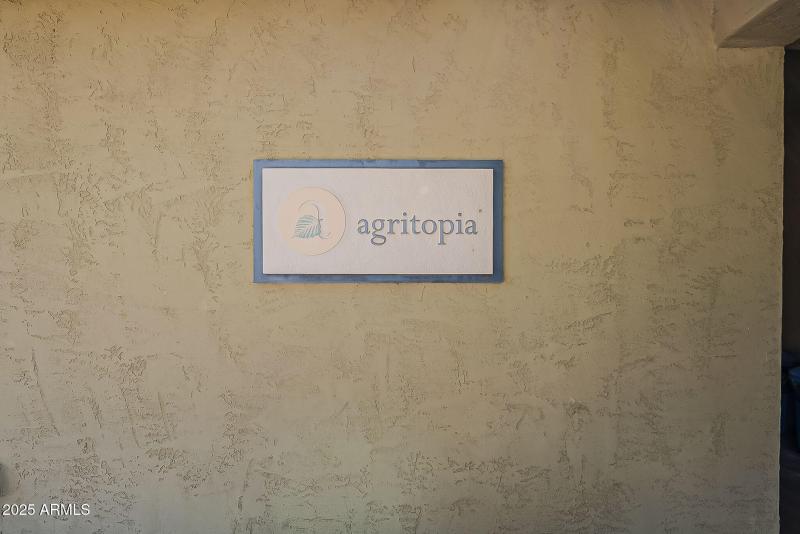 54-web-or-mls-Tamarisk-54