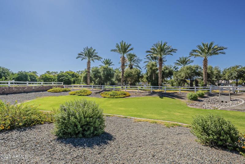 62-web-or-mls-Tamarisk-62