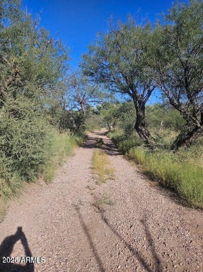 20240921193557848494000000-o