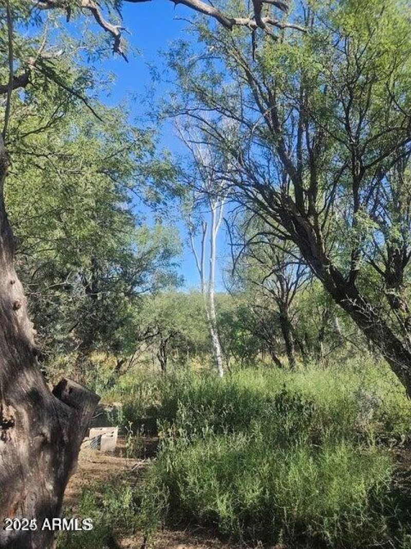 20240921193601981747000000-o