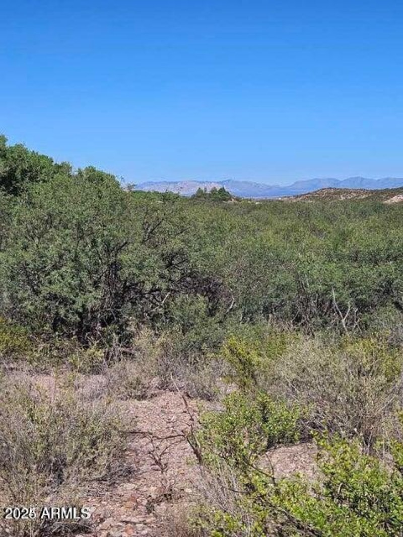 20240923151856523827000000-o