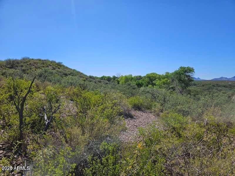 20240923151857786638000000-o