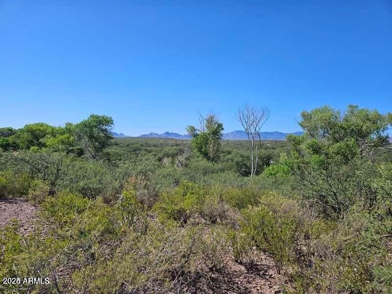 20240923151858850305000000-o