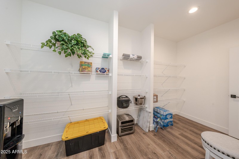 DSC02552-Enhanced-NR