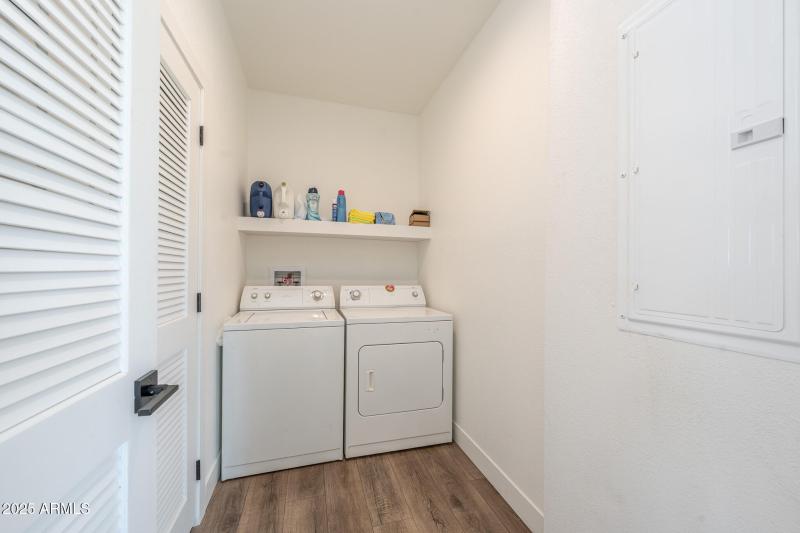 DSC02560-Enhanced-NR