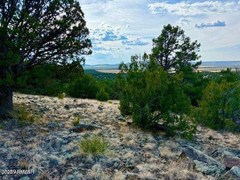 20250823204518782829000000-o