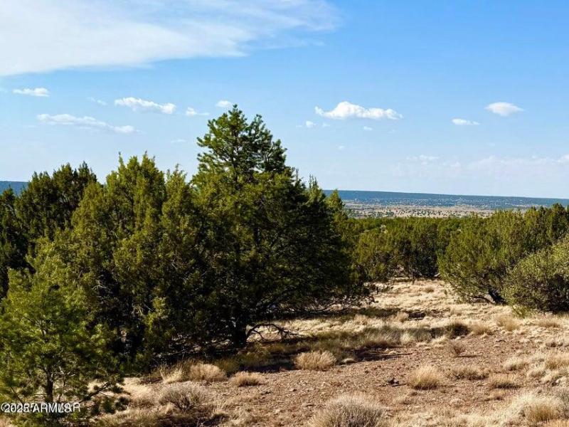 20250824010823471147000000-o