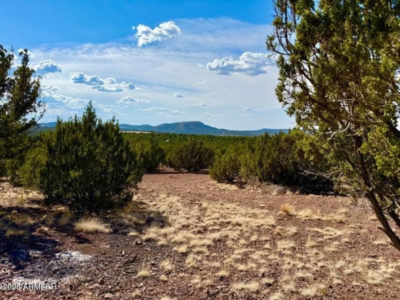 20250824005440946726000000-o