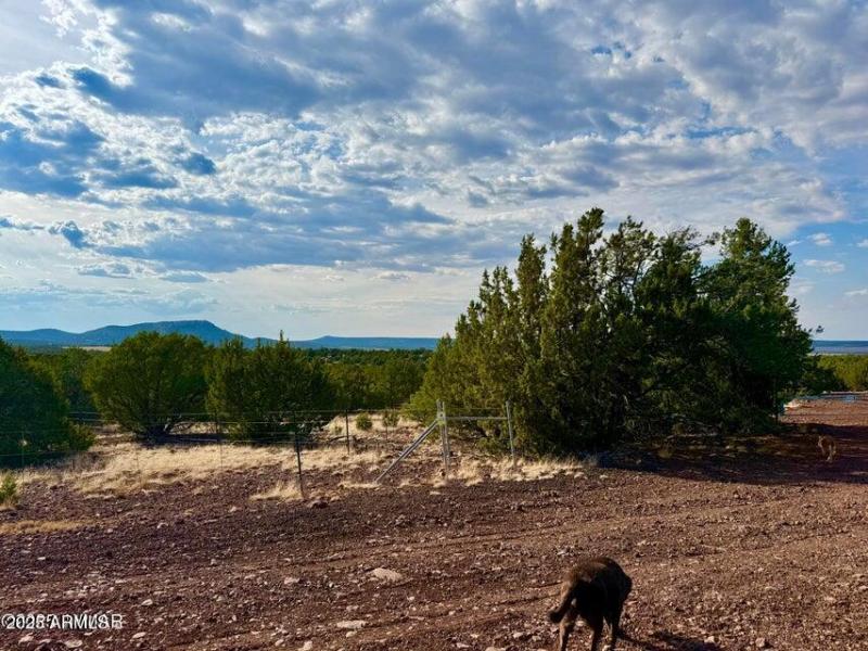 20250823204312559156000000-o