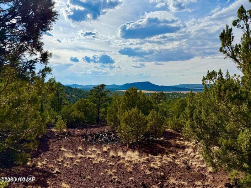 20250823204343530213000000-o