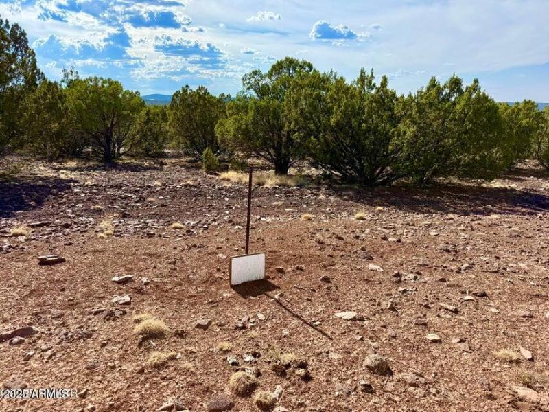 20250824004310997356000000-o