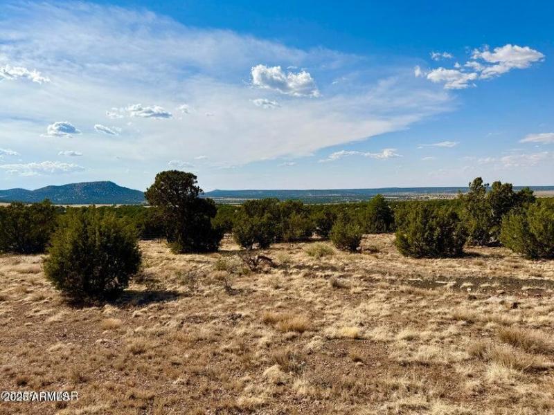 20250824004338748904000000-o