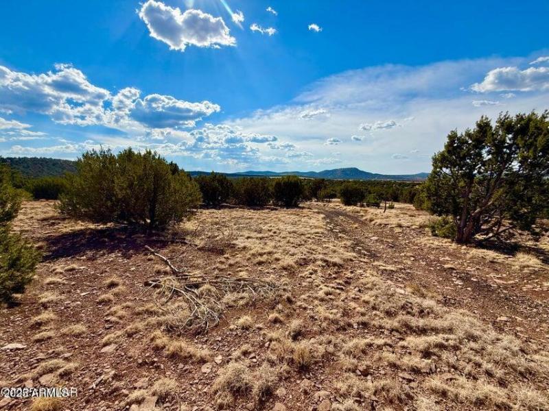 20250824004352917957000000-o