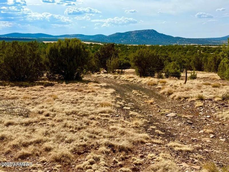 20250824004726574588000000-o