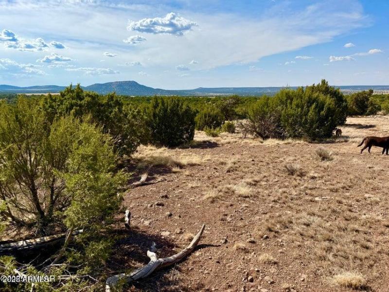 20250824005054978887000000-o