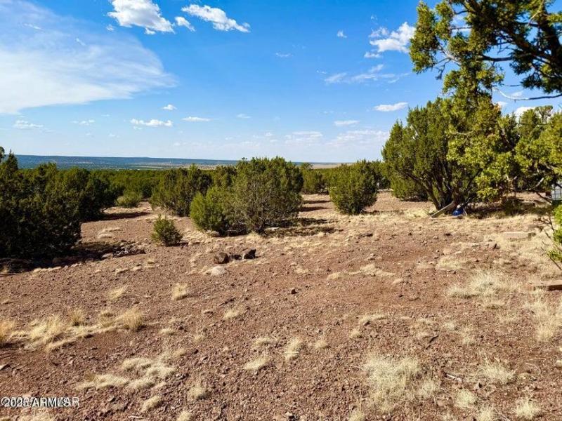 20250824005502932219000000-o